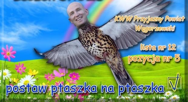 postaw ptaszka